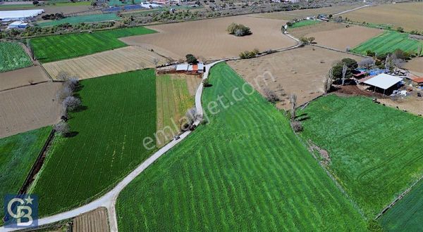 Bergama İslamsaray'da Satılık Tarla. Son Fiyat !!!