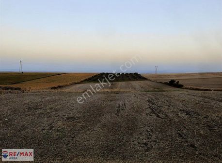 Remax Area'dan Karacabey'de Yatırımlık 13.350 M² Tarla
