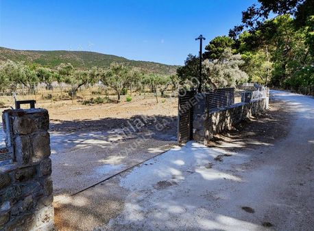 Urla Barbaros Köyü Satılık Tarla