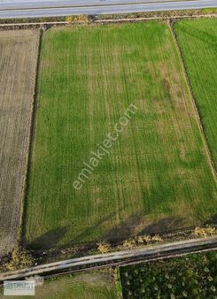 Söke-ortaklar Anayoluna Cepheli Tarla