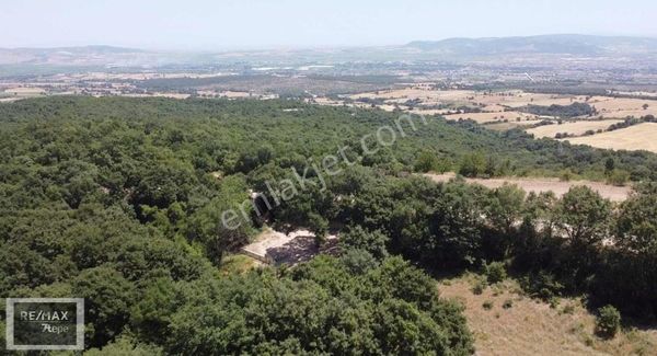 Serkan Uzar - Balıkesir Gönen'de - Hakim Konumda