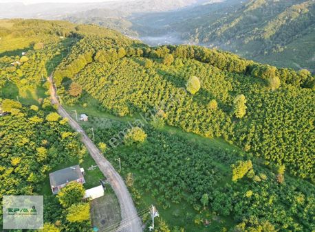 Epa Tekbir Gayrimenkul'den Kuzuluk Topçu Sırtında Arsa.