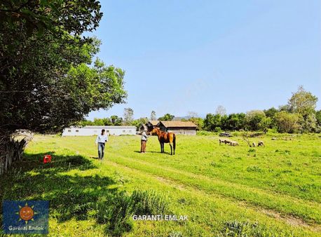 █garanti Emlak'tan » Merkez-kuzyaka'da » 1.000 M² İmarlı Arsa█