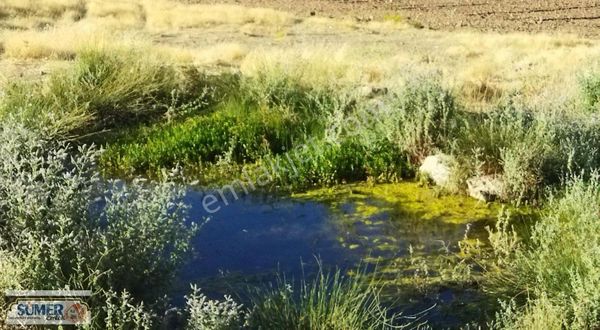 Güzel Konuda Satılık Tarla