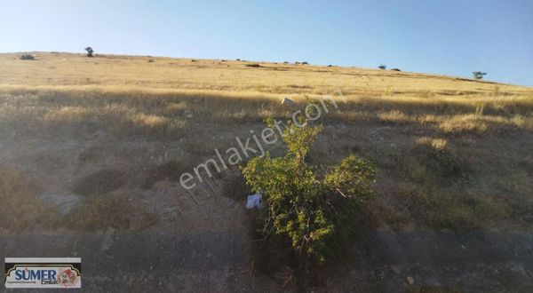 Köy Tokileri,nin Hemem Altında Tarlamiz