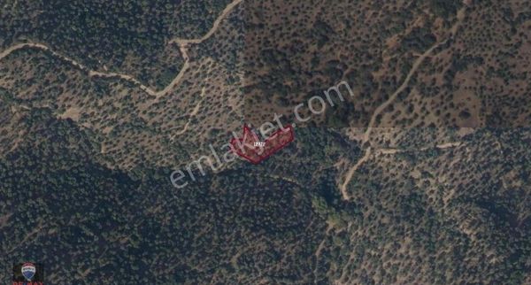 Ödemiş Konaklı Mahallesi Karahasanderesi'nde Satılık Zeytinlik