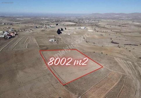 Talas Kepez De 8000 Metre Kare Arazi