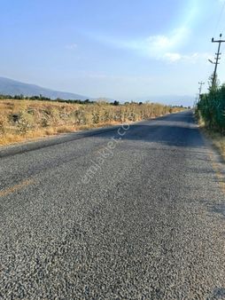 Aydın Nazilli Arslanlı Mah Satılık