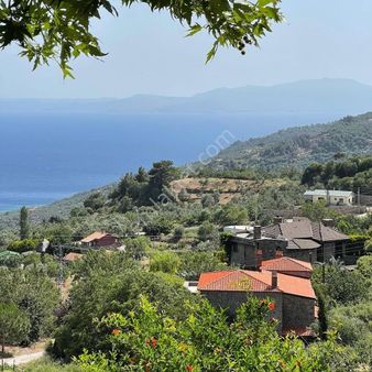 Erkutun'dan, Çanakkale Ayvacık Kayalar Köyü Gökyar'da Satılık Zeytinlik