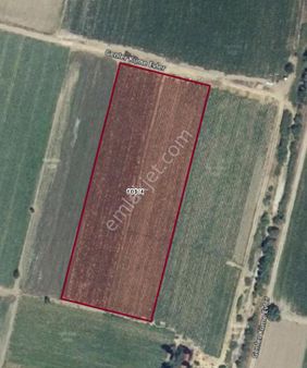 Kınık Balaban'da Satılık 6032 M2 Tarla