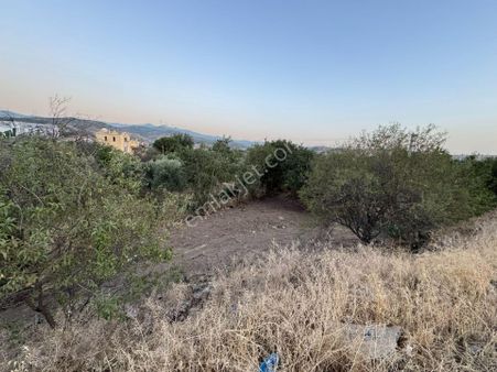 İzmir Menemen Yahşelli Mah:imar Sınırları İçerisinde Tarla