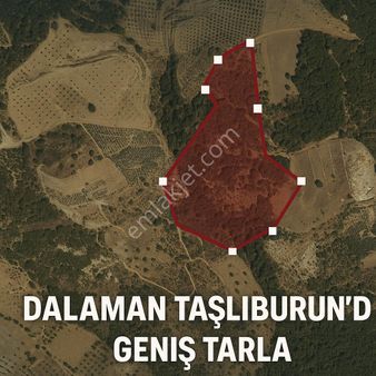 Geleceğinize Yatırım Yapın Dalamanda Büyük Arazi