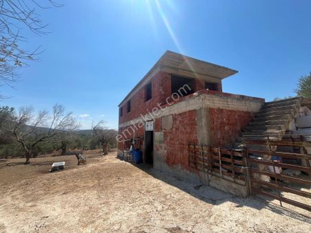 Ali Türk Gayrimenkulden Karaağaç Mahallesinde Satılık Zeytinlik