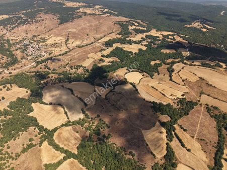 Mayadan Kırklareli Kofçaz Tatlıpınar Köyü 6.016 M2 Satılık Tarla