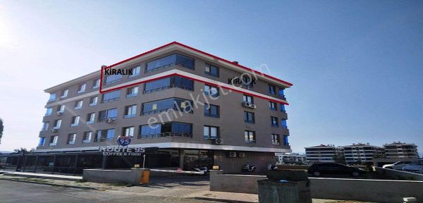 Kafeler Bölgesi Yemen Kahve Kaşısı