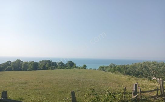 Sinop, İncirpınrında Denizmanzaralı,3 Tarafı Yola Cephe 17 Dönüm Satılık Tarla