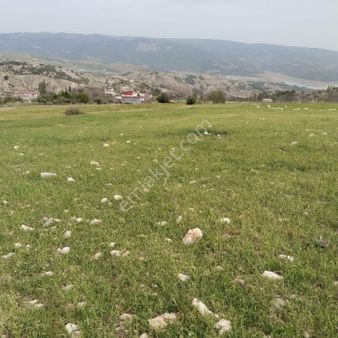 Cb'den Bulanık Mahallesinde Satılık Fırsat Bağ İçin Tarla