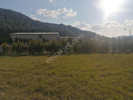 Bal Gayrimenkul-çatalcada Elektrik Su Hazır 580 M2 Köşe Parsel