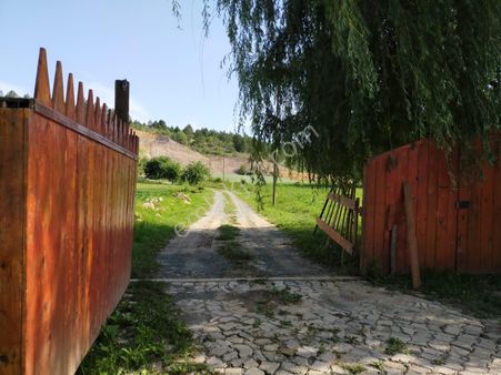 Remax Natural Den Kastamonu' Da Satılık Özel At Çiftliği