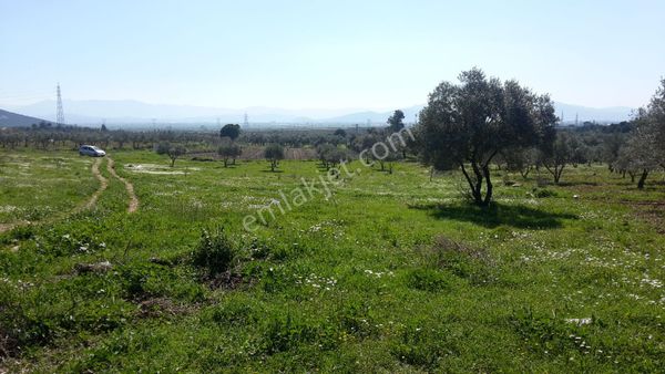 Torbalı Emlak'tan Torbalı Arslanlar'da Eski Köy İçin Mevkisinde Yolu Olan 5000m2 Arazi Satılıktır