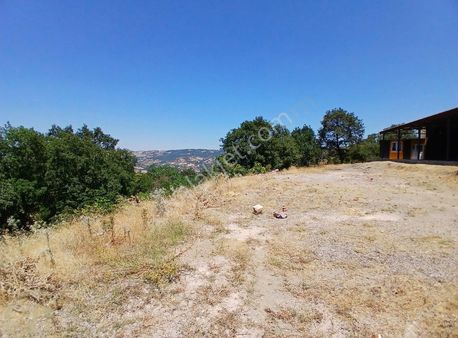 C21 Loca'dan Kepsut Sayacık Mahallesinde 1523,50m2 Satılık Tarla