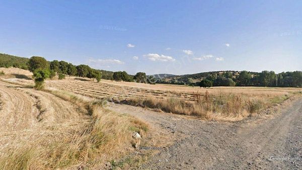 Vefa Gayrimenkul + Kütahya + Çöğürler Köyü'nde Yatırımlık Tarla