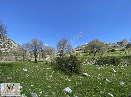 Winner- Söğüt'te+ Kare Şeklinde+ Yola Yakın+ Satılık Arazi