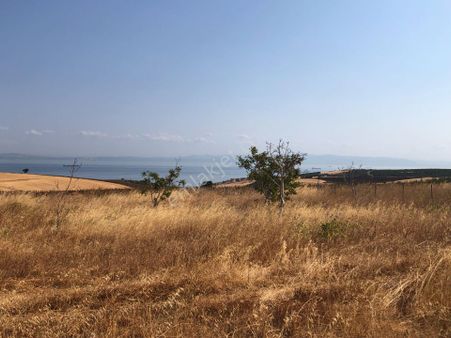 Şarköy De Işık Emlaktan Kocaali Mah De 308 M2 0/25 İmarlı Arsa