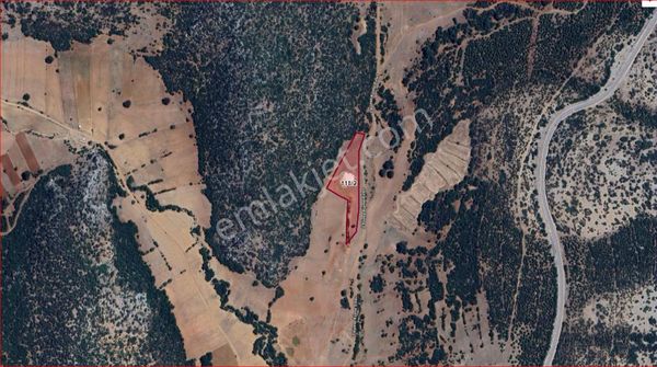 Asya Evim Gayrimenkulden Çeltikçi De Satılık Fırsat Tarla