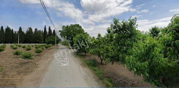 Asfalt Yola Cephe Köye Yakın Ticari Depo İçin Uygun Arazi