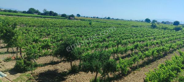 Bilginoğlu Emlak'tan Güzelköy De İçerisinde 2+1 100 M2 Ev Bulunan Satılık Bağ