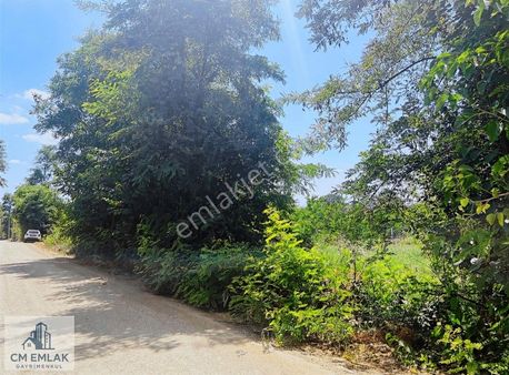 İnegöl Kurşunlu Mh. Asfalt Yola Cephe 1311 M2 Tek Tapu Arazi