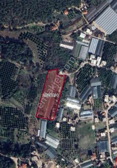 Antalya Konyaaltı Yenimahalle Satılık Yatırımlık Fırsat Bahçe