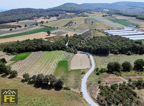 Doğancı Somi (osb)ye Yakın Satılık Arazi