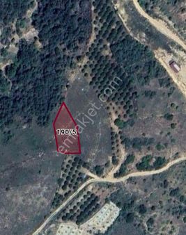 Özçelebi'den Saray'da 875 M² Satılık Tarla