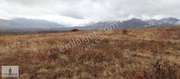 Doğanşehir Polatta Fırsat