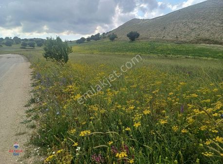 Yayla Yolu Üzerinde,yerleşim Yerine Yakın Tarla
