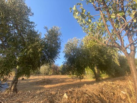 Aydın Efeler Tepeköy De Satılık 650 M2 İmarlı Arsa