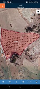 Kayseri Çevrildi Satılık Evli Bahce