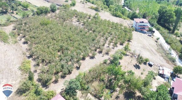 Remax Rıdvan Gedik Ferızlı Merkezde 7000 M² Konut Imarlı Arsa