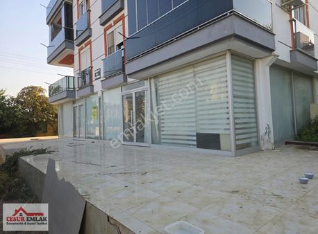 Cesurdan Kiralık Dükkan