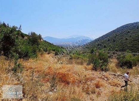 Sedir Gm'den İncirköy'de 1917 M2 Satılık Tarla