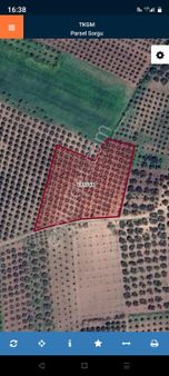 Aysu Konut Emlaktan Satilik Zeytinlik