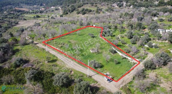 Premar Datça Hızırşah'ta 2323m2 Zeytin Sıkma Ünitesi İzinli Arsa