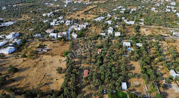 Bodrum Kızılağaç'ta Anayola Sıfır Hisseli 635 M² İmarlı Tarla