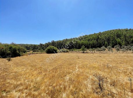 Bodrum Mazı 'da Resmi Yolu Olan Satılık Tarla