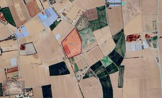 Fevzi Çakmak Mh. 17.5 Dönüm Tek Tapu Satılık Tarla