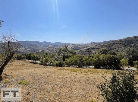 Ft Gayrimenkul Den 19 Mayıs Kertme De Sartılık Tarla