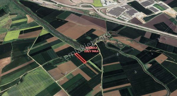 Remax Area'dan Bandırma'nın Doğruca Mahallesinde 2.259,05 M² Satılık Tarla!