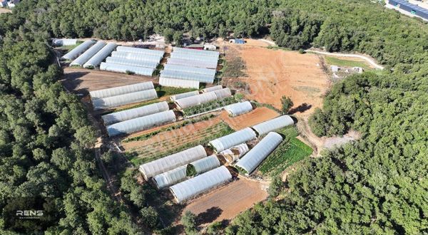 Rens'den Kadıllı Köy İçinde Satılık Yatırıma Uygun Tarla